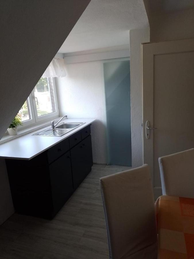 Apartment Biesnitz Гёрлиц Экстерьер фото
